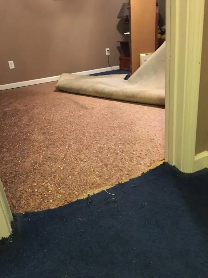 Carpet pad removal revealing water damage during Drying & Dehumidification in North Plainfield